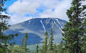 Ny Leilighet Med Flott Utsikt Til Gaustatoppen