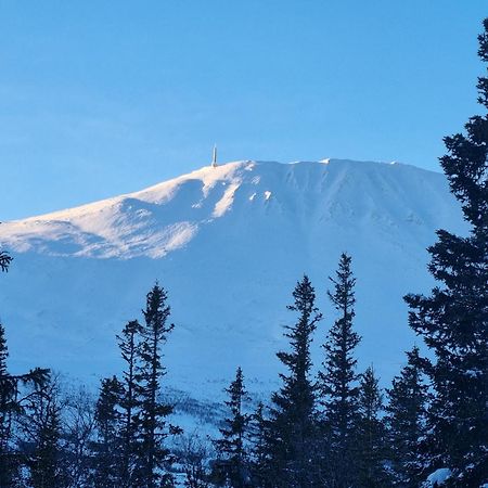 Ny Leilighet Med Flott Utsikt Til Gaustatoppen Rjukan Exterior foto