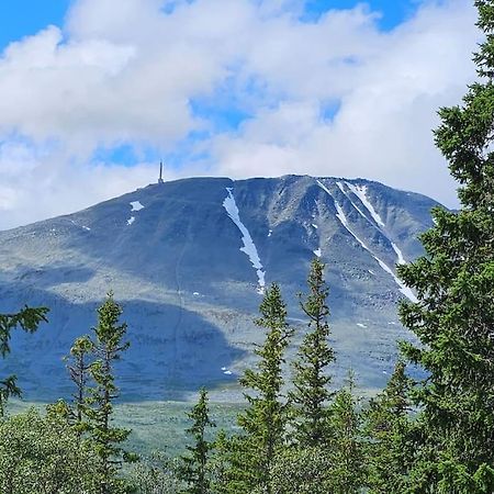 Ny Leilighet Med Flott Utsikt Til Gaustatoppen Rjukan Exterior foto