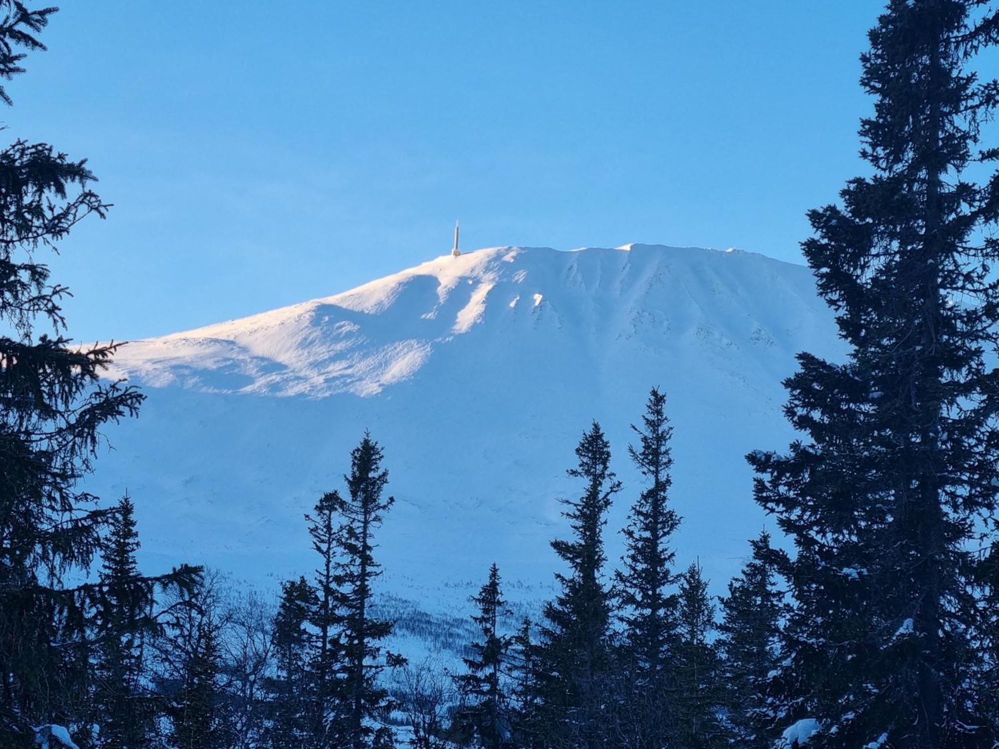 Ny Leilighet Med Flott Utsikt Til Gaustatoppen Rjukan Exterior foto