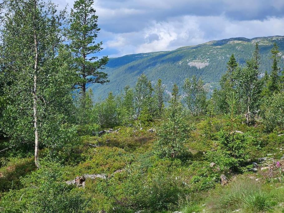 Ny Leilighet Med Flott Utsikt Til Gaustatoppen Rjukan Exterior foto